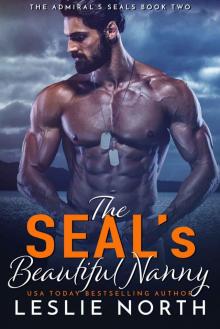 The SEAL’s Beautiful Nanny (The Admiral’s SEALs Book 2)