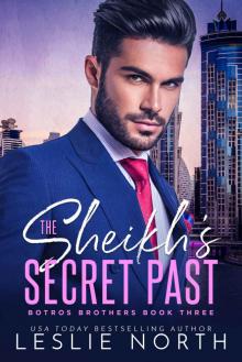 The Sheikh’s Secret Past (Botros Brothers Book 3)