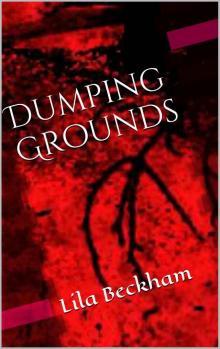 Dumping Grounds (Joshua Stokes Mysteries Book 1)