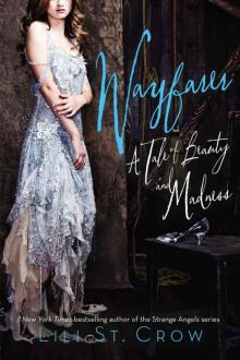 Wayfarer: A Tale of Beauty and Madness (Tales of Beauty and Madness)