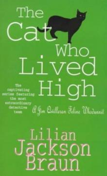 The Cat Who Lived High The Cat Who Lived High