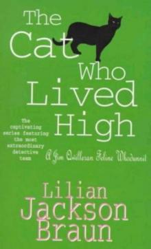 The Cat Who Lived High The Cat Who Lived High