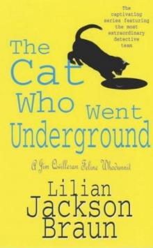 The Cat Who Went Underground The Cat Who Went Underground