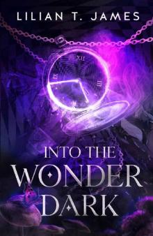 Into the Wonder Dark