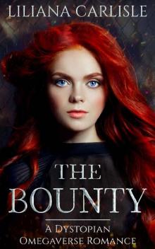 The Bounty: A Dystopian Omegaverse Romance