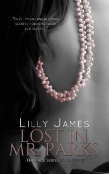 Lost In Mr. Parks (Park #3)
