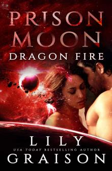 Prison Moon_Dragon Fire_An Alien Abduction Sci Fi Romance