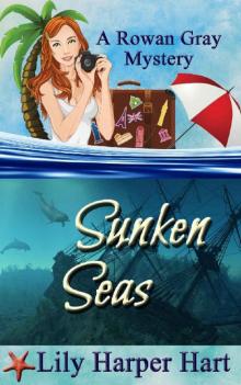 Sunken Seas (A Rowan Gray Mystery Book 4)