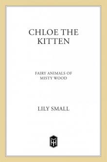 Chloe the Kitten