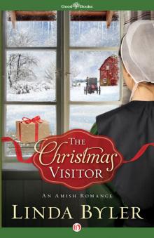 Christmas Visitor