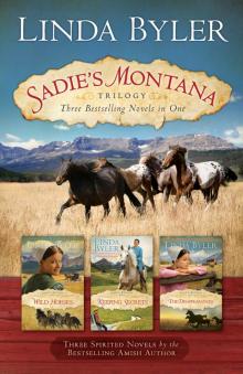 Sadie’s Montana Trilogy