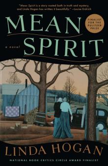 Mean Spirit Mean Spirit