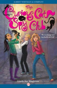 The Curious Cat Spy Club The Curious Cat Spy Club