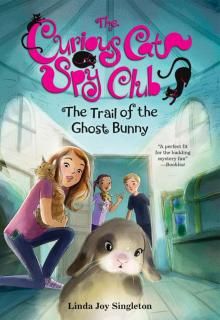The Trail of the Ghost Bunny The Trail of the Ghost Bunny