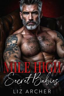 Mile High Secret Babies: An Age Gap, Mafia Romance