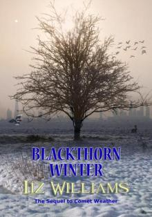 Blackthorn Winter