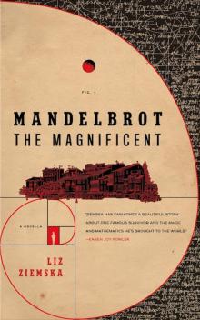 Mandelbrot the Magnificent Mandelbrot the Magnificent