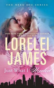 Just What I Needed (The Need You Series)