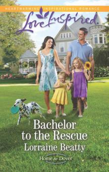 Bachelor to the Rescue Bachelor to the Rescue