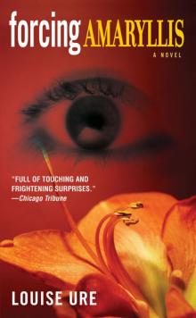 Forcing Amaryllis