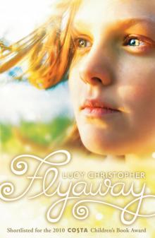 Flyaway Flyaway
