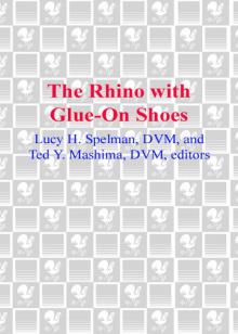 The Rhino with Glue-On Shoes