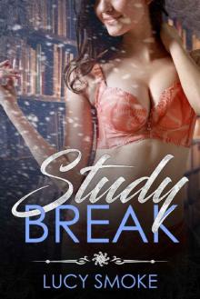 Study Break (A Winthrope Five Novella Book 1)