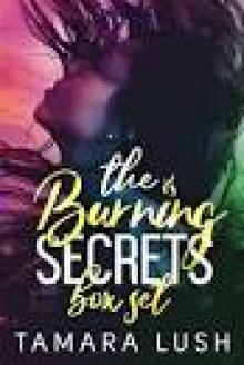 Dirty Games: Burning Secrets Series