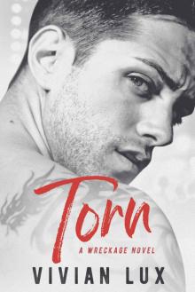 TORN: A Rockstar Romance (Wreckage Book 4)