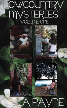 Lowcountry Mysteries (Boxed Set #1)