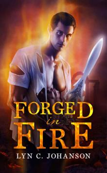 Forged In Fire (Witch World Series Book 2)