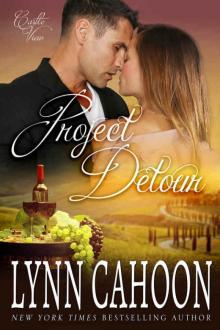 Project Detour (Castle View Book 3)