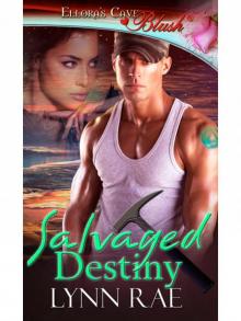 Salvaged Destiny