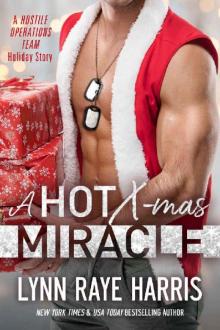 A HOT Christmas Miracle: A Hostile Operations Team Holiday Story A HOT Christmas Miracle: A Hostile Operations Team Holiday Story