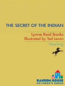 The Secret of the Indian (The Indian in the Cupboard) The Secret of the Indian (The Indian in the Cupboard)