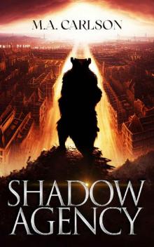 Shadow Agency (Shadow Agency - Book 1): (A Fantasy LitRPG)