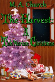 A Tah'Narian Christmas