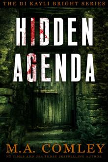Hidden Agenda (DI Kayli Bright Trilogy Book 3)