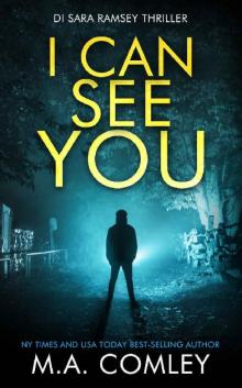 I Can See You (DI Sara Ramsey Book 14)