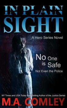 In Plain Sight: a hero series novel