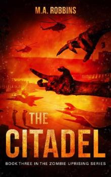 The Citadel