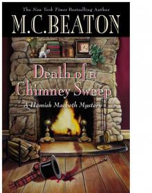 Death of a Chimney Sweep