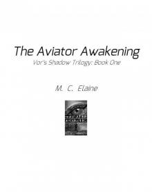 The Aviator Awakening