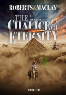 The Chalice of Eternity (A Tom Wagner Adventure Book 6)
