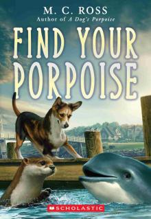 Find Your Porpoise