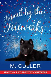 Framed by the Fireworks: Holiday Pet Sleuth Mysteries