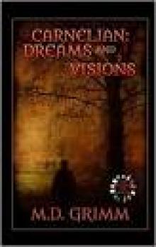 Carnelian- Dreams and Visions Carnelian- Dreams and Visions