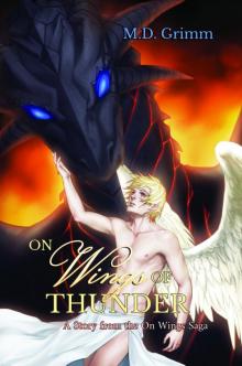 On Wings of Thunder (On Wings Saga 1) On Wings of Thunder (On Wings Saga 1)