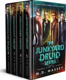 The Junkyard Druid Box Set 2 The Junkyard Druid Box Set 2