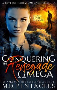 Conquering the Renegade Omega WIDE